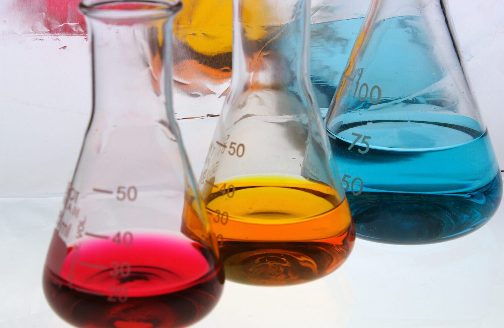 2024年度インターンシップについて